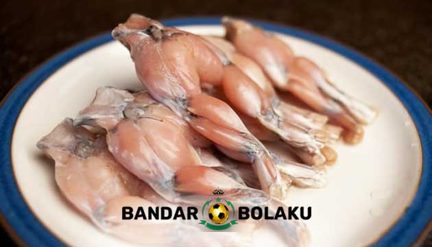 Manfaat Tersembunyi Daging Katak Untuk Ayam Bangkok Aduan